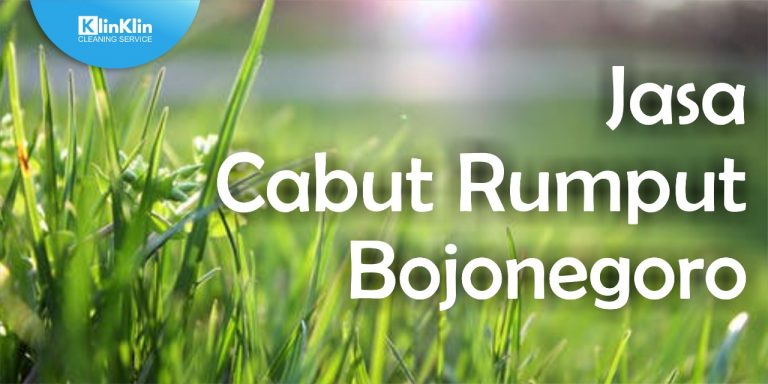 Jasa Cabut Rumput Bojonegoro