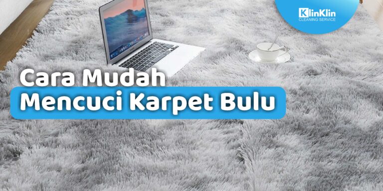 Cara Mudah Mencuci Karpet Bulu