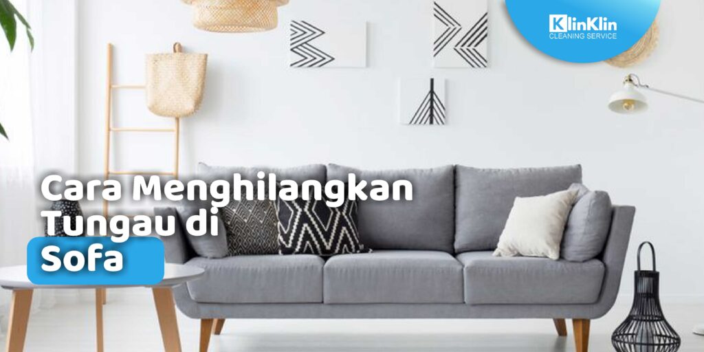 Cara Menghilangkan Tungau di Sofa