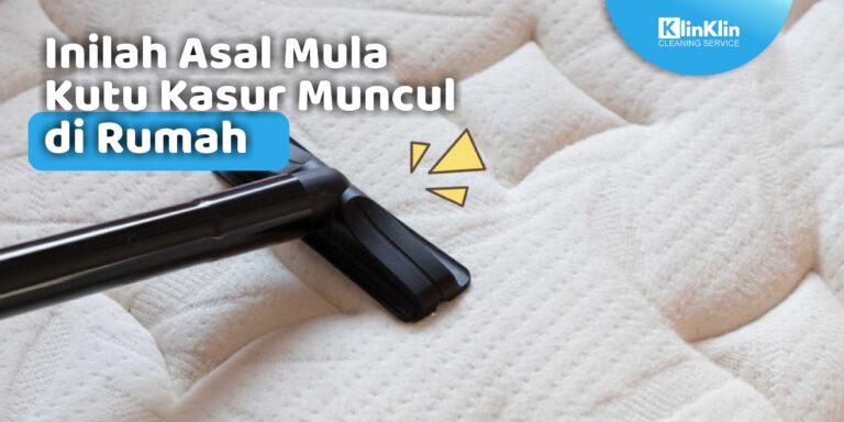 Asal Mula Kutu Kasur Muncul di Rumah