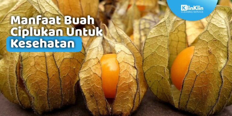 Manfaat Buah Ciplukan