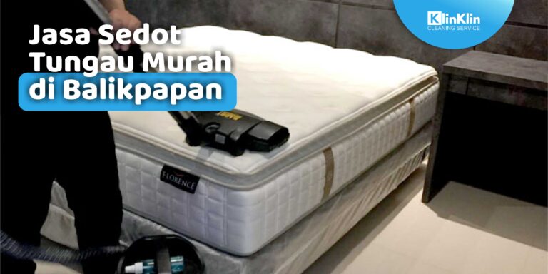 Jasa Sedot Tungau Murah