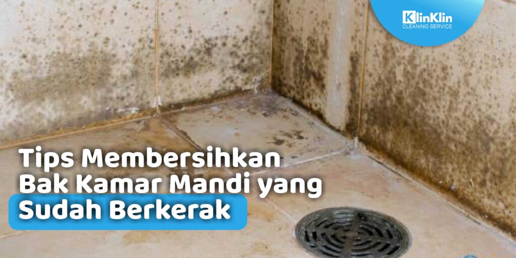 Tips Membersihkan Bak Mandi