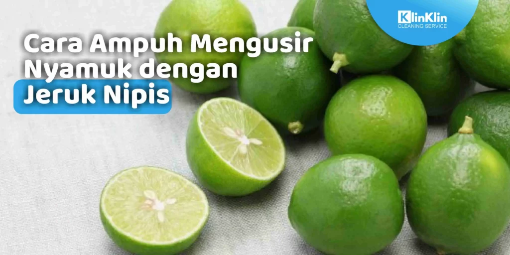 Cara mengusir Nyamuk dengan Jeruk Nipis