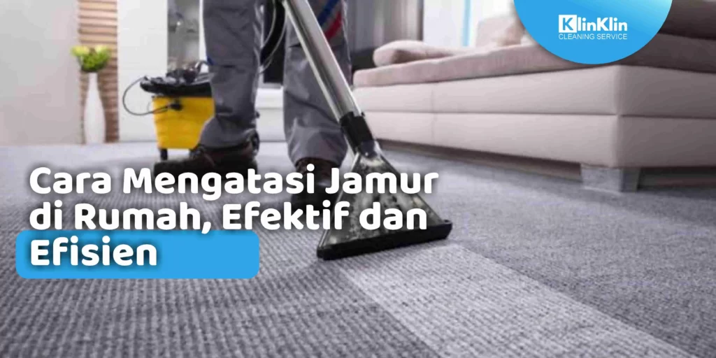 Cara Mengatasi Jamur di Rumah