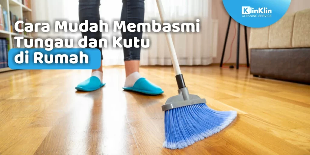 Cara Mudah Membasmi Tungau di Rumah