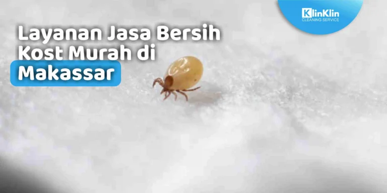 Jasa Bersih Kost di Makassar